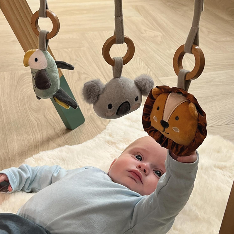 Baby Wooden Activity Play Gym with Hanging Toys