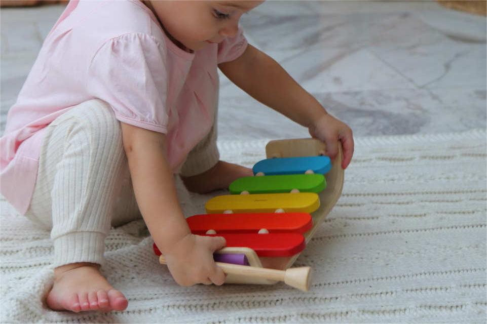 The Importance Of Wooden Musical Instrument Toys